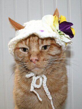 HAND CRAFTED Crochet White Pansy Bonnet Cat Hat Costume Photo Prop